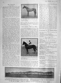 Old Antique Print 1907 Train Silver-Lead Oaxaca Mexico Horses Lady Tibbie 20th