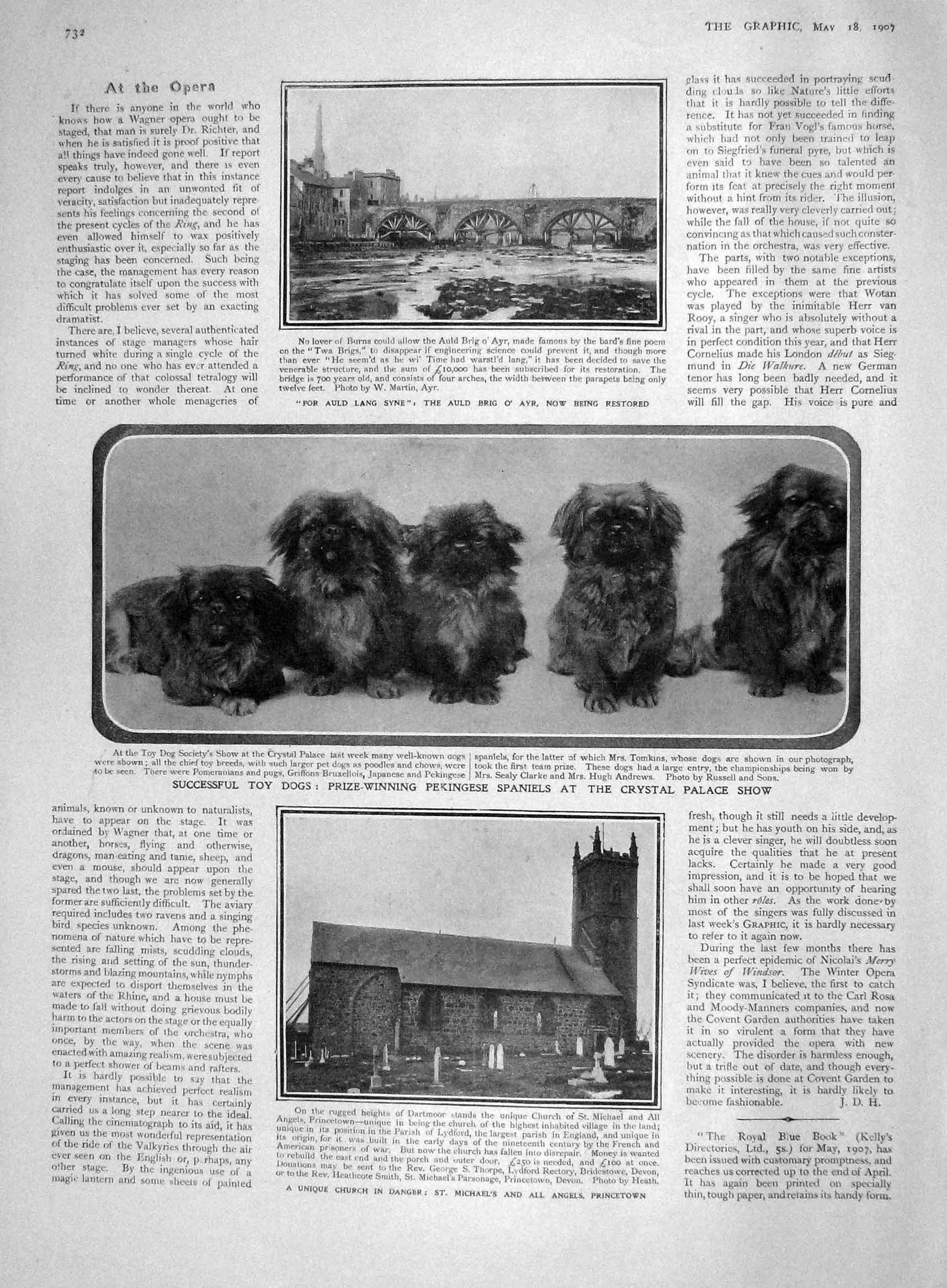 Old Antique Print 1907 Toy Dogs Pekingese Church Michael'S Prince Fushimi 20th