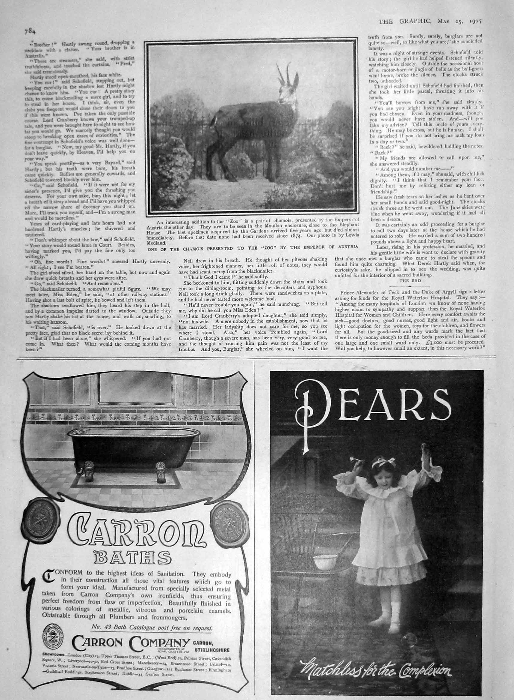 Original Old Antique Print 1907 Chamois Zoo Animal Carron Baths Pea 20th Century