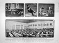 Old Antique Print 1907 Duma Taurida Palace Stolypin D'Etat Cecil Balfour 20th