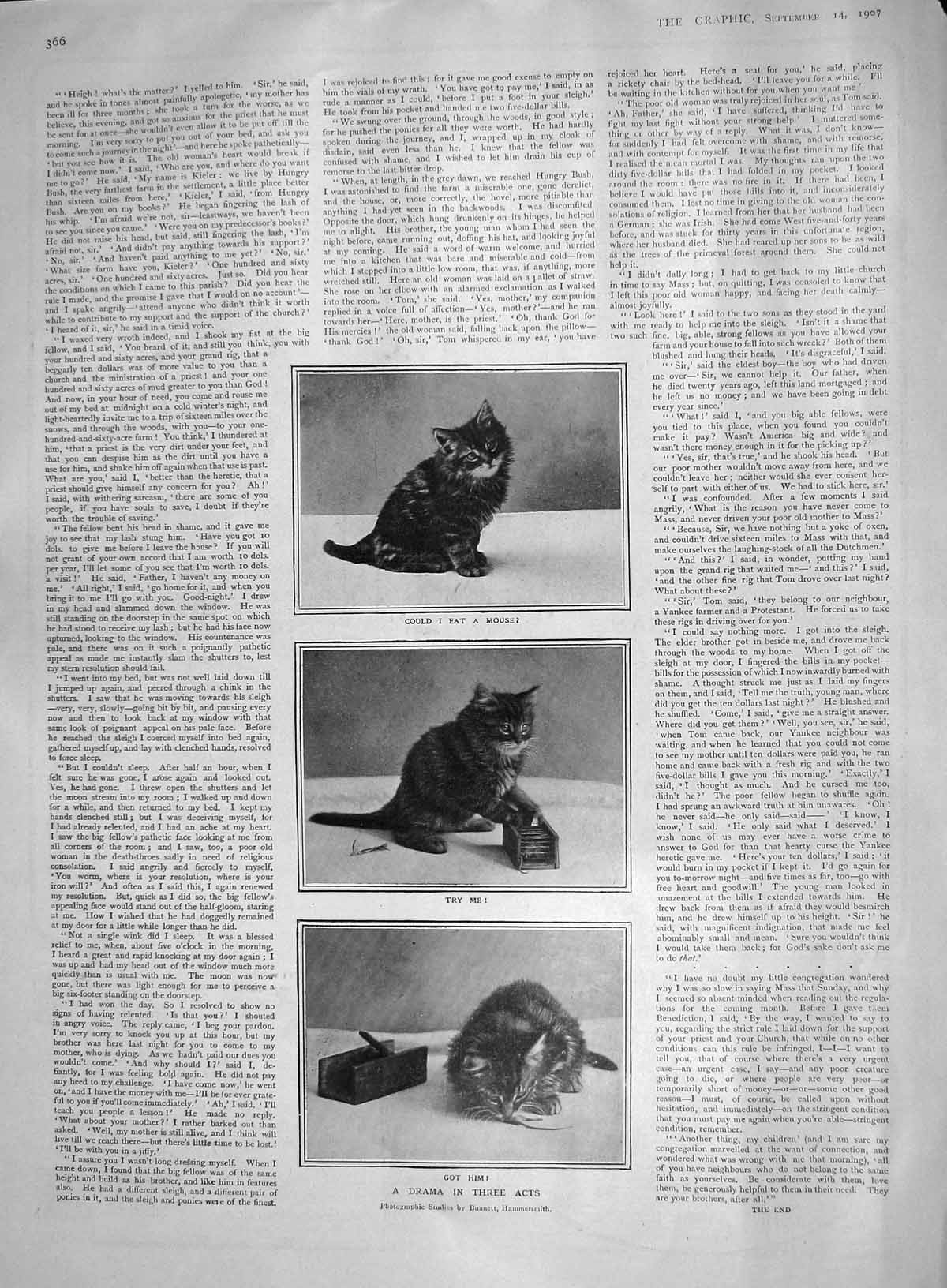 Original Old Antique Print 1907 Drama Mouse Trap Cat Kitten Photograph Bunnett