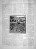 Old Antique Print 1907 Bird Life India Sacred Pigeons Jeypore Photograph 20th