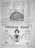Old Antique Print 1907 Johannesburg Architecture Public Building Vinolia 20th