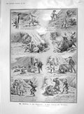 Original Old Antique Print 1907 Gboy Highlands Buffaloes Ship F Danton Germany