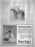 Old Antique Print 1907 Slieve Gallion Horse Captain Greer Austrian Pears 20th