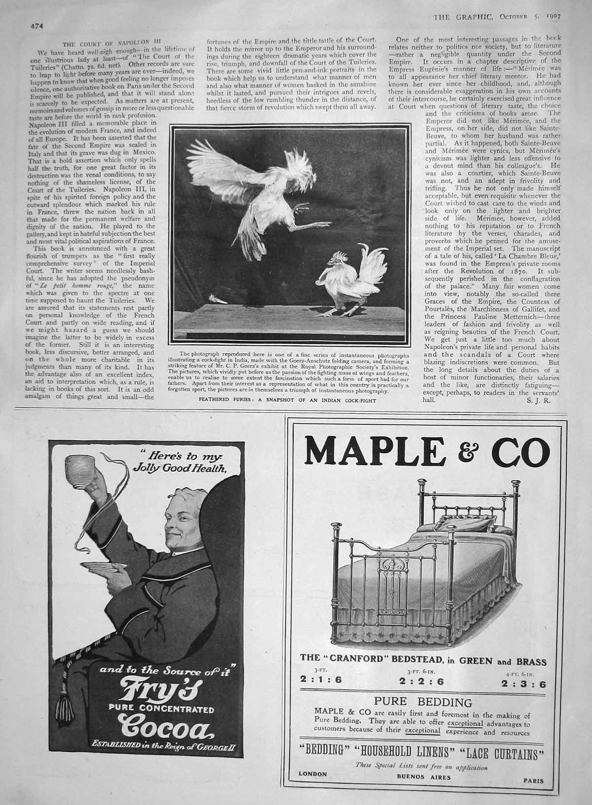Original Old Antique Print 1907 Indian Cock-Fight Birds Goerz Frys Cocoa Maple