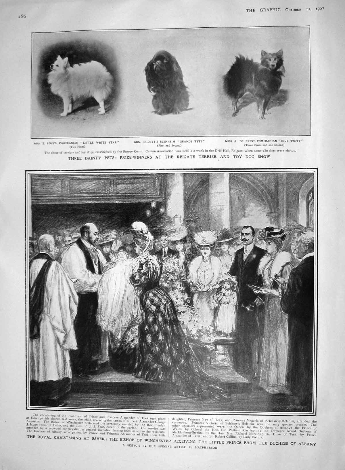 Original Old Antique Print 1907 Reigate Pet Dog Terrier Esher Prince Coleridge