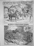Old Antique Print 1907 Advertisement Ellimans Embrocation Horses Animals 20th