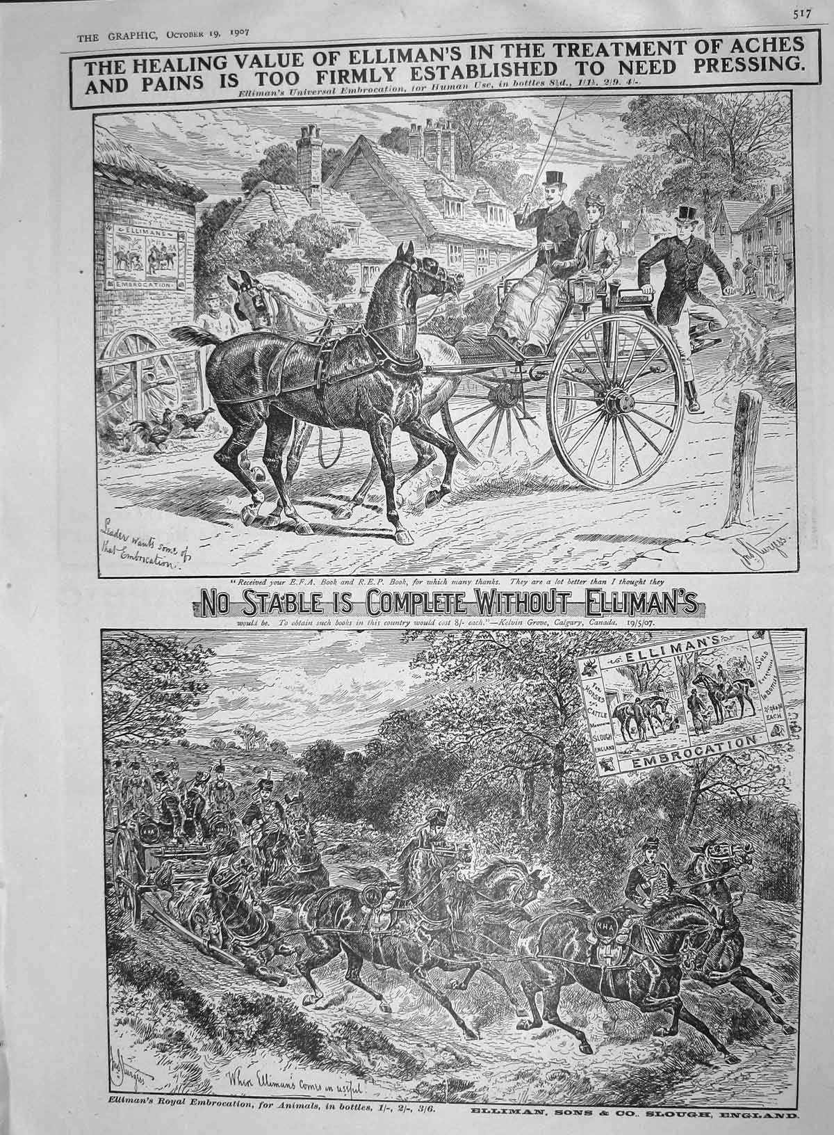 Old Antique Print 1907 Advertisement Ellimans Embrocation Horses Animals 20th