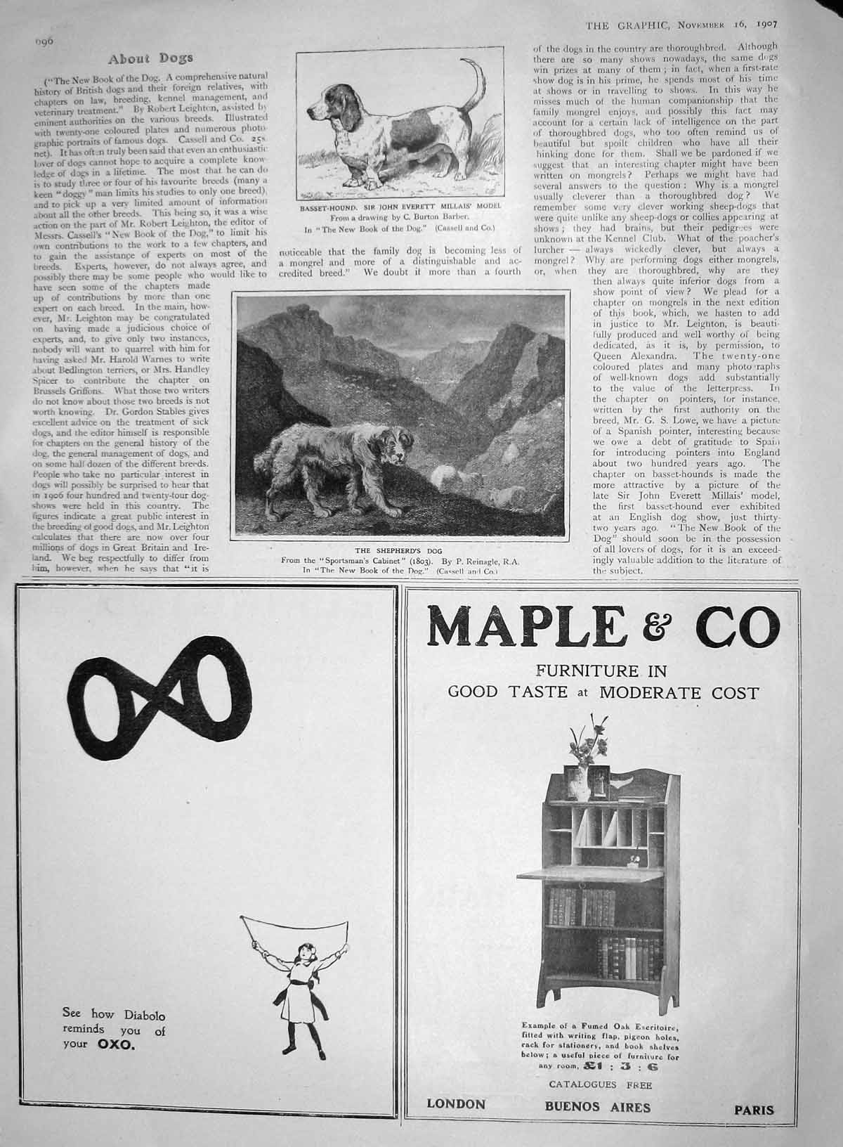 Original Old Antique Print 1907 Shepherds Dog Basset Hound Millais Maple Oxo