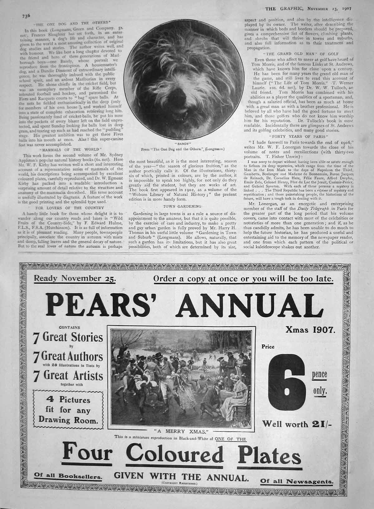 Original Old Antique Print 1907 Bandy Pet Dog Advertisement Pears Annual Book