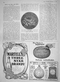 Original Old Antique Print 1907 Carrion Crows Grouse Eggs Birds Martell Brandy
