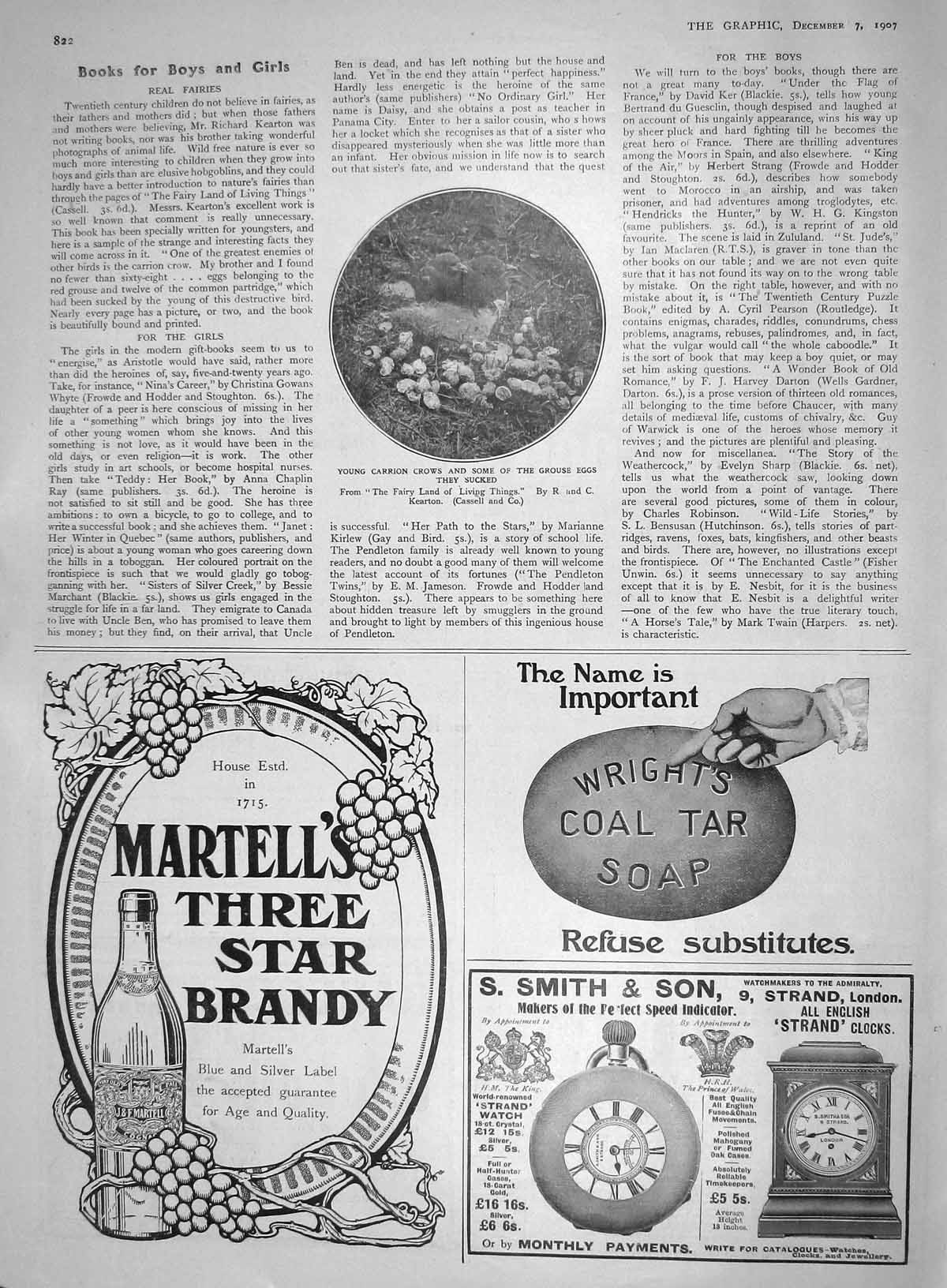 Original Old Antique Print 1907 Carrion Crows Grouse Eggs Birds Martell Brandy