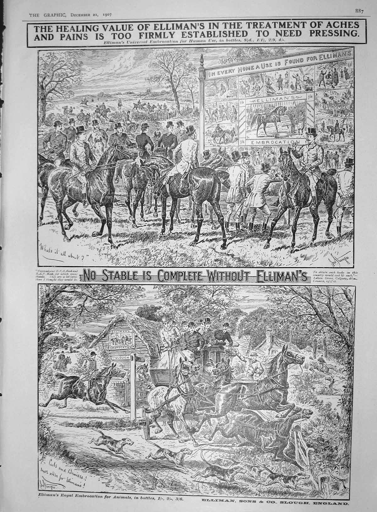 Original Old Antique Print 1907 Advertisement Ellimans Roya Embrocation Animals