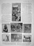 Original Old Antique Print 1907 German Invention Sterilizing Water Siers Train