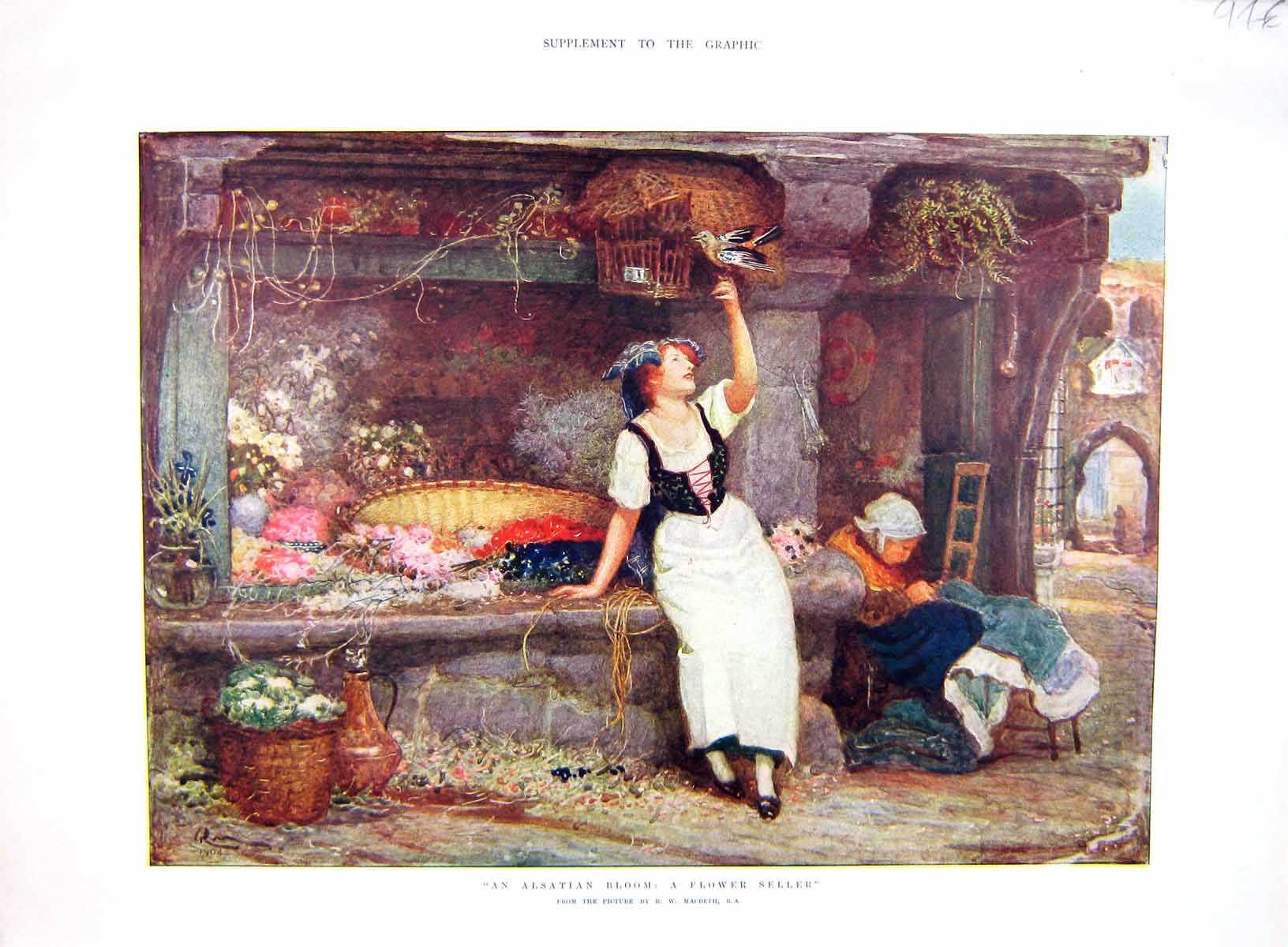 Original Old Antique Print 1907 Colour Flower Seller Alsatian Bloom Bird 20th