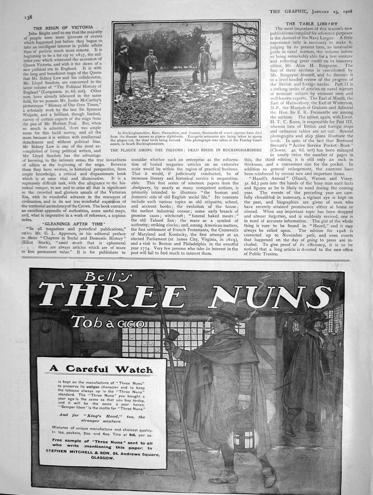 Original Old Antique Print 1908 Plague Pigeons Dead Birds Kent Buckinghamshire