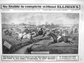 Old Antique Print 1908 Advertisement Ellimans Universal Embrocation Horse 20th