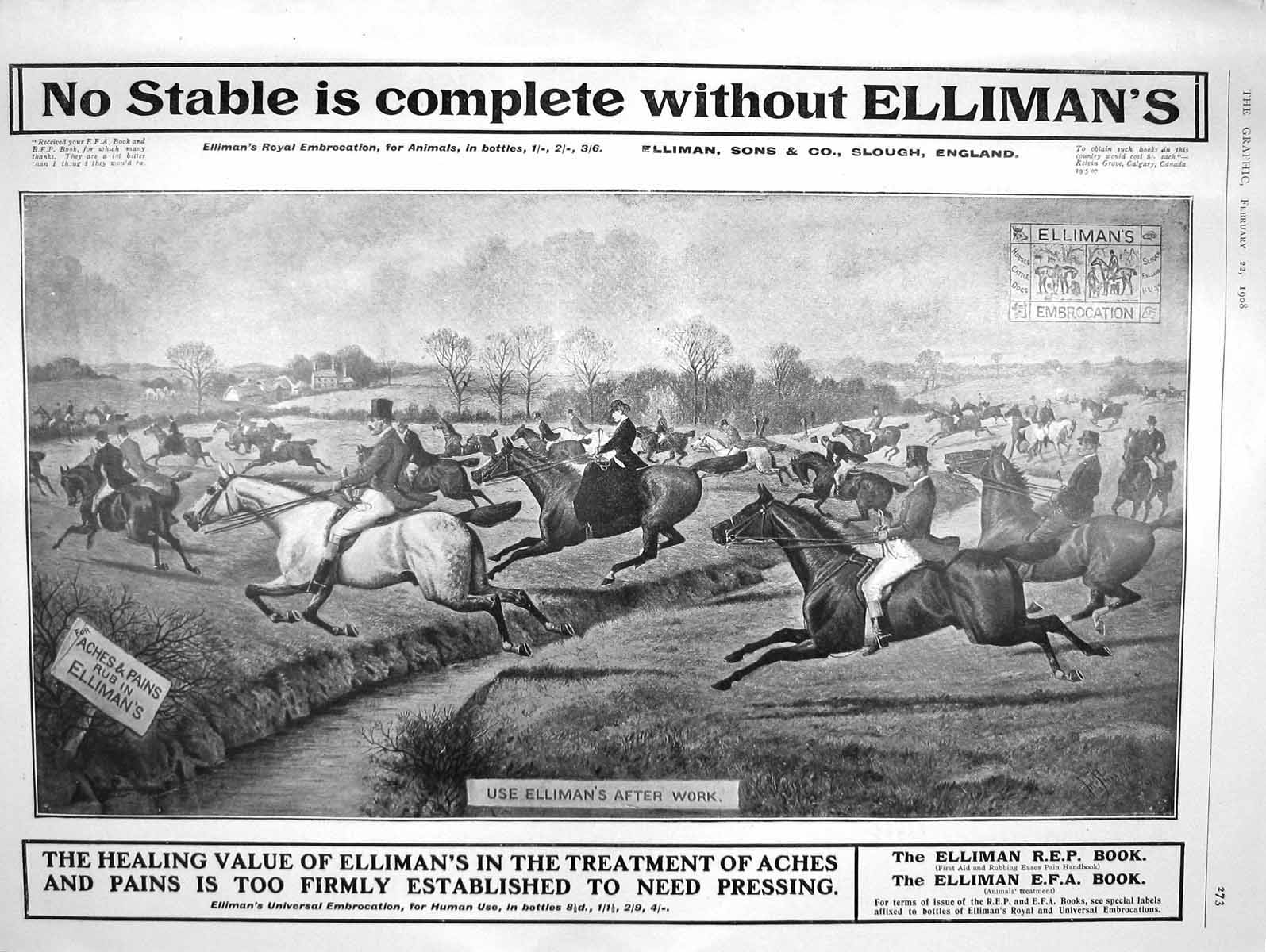 Old Antique Print 1908 Advertisement Ellimans Universal Embrocation Horse 20th