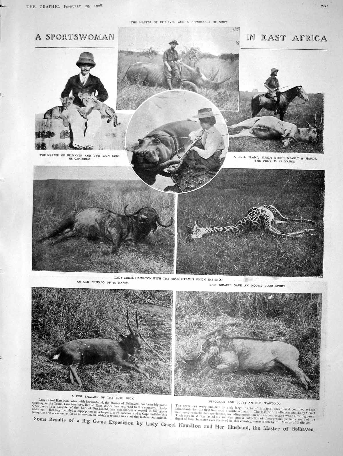 Original Old Antique Print 1908 Sport Africa Eland Hamilton Wart-Horg Lyttelton