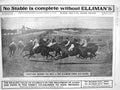 Old Antique Print 1908 Advertisement Ellimans Universal Royal Embrocation 20th