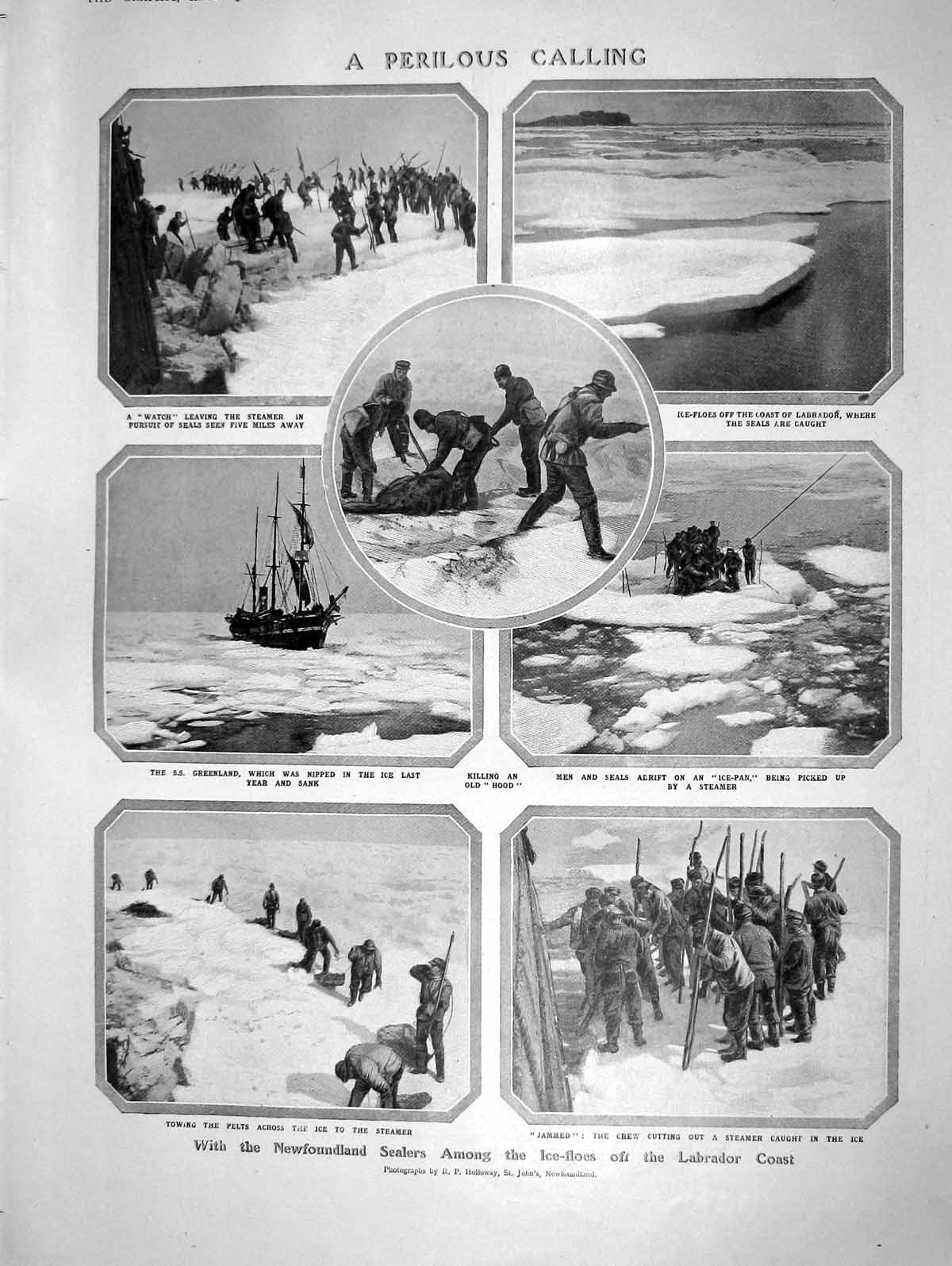Original Old Antique Print 1908 Newfoundland Sealers Ship Greenland Caterpillar