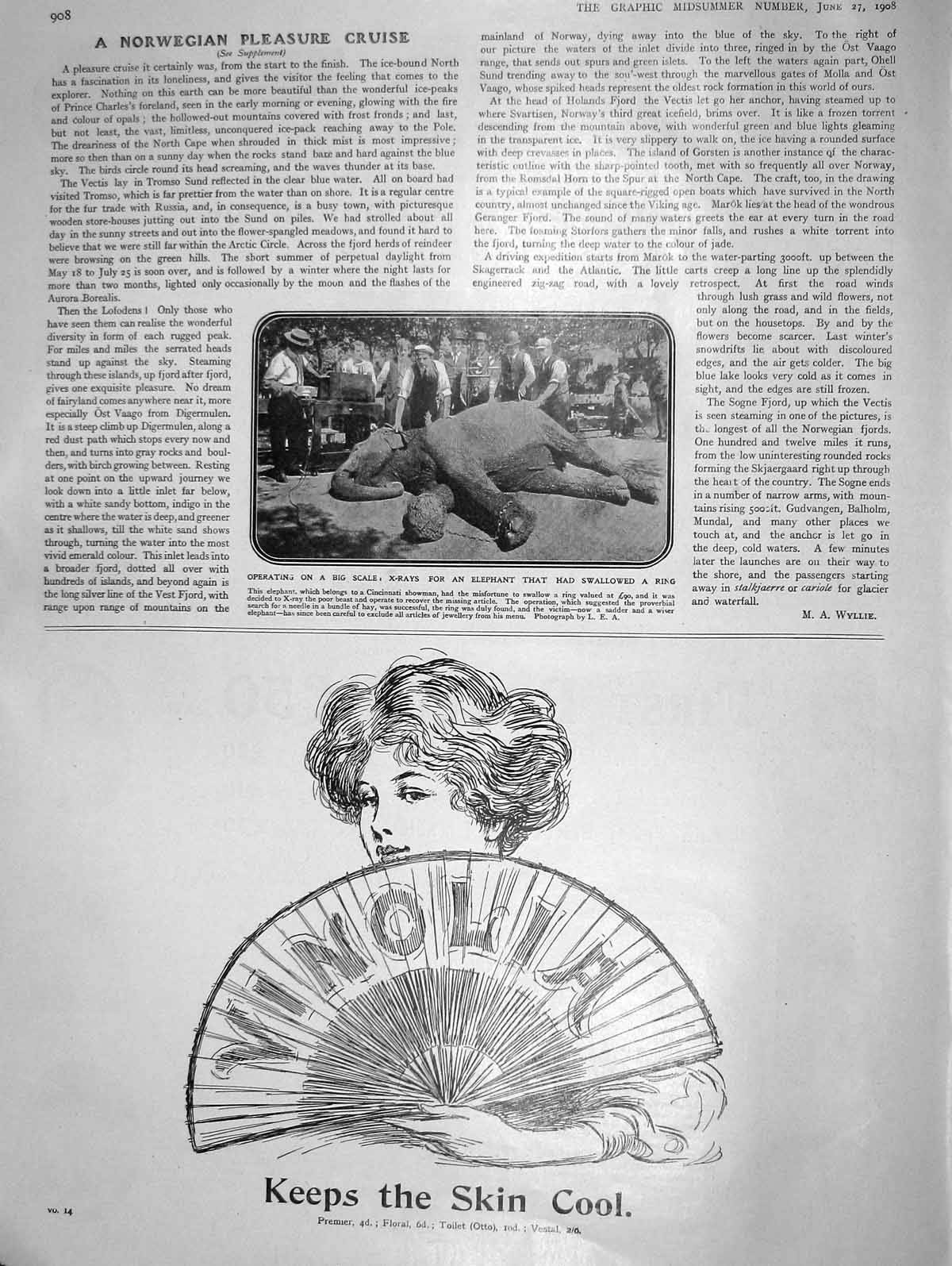 Old Antique Print 1908 Operating X-Rays Elephant Swallowed Ring Vinolia 20th