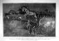 Old Antique Print 1908 General Anderson Mohmand Horses Garki Sadar War 0 20th