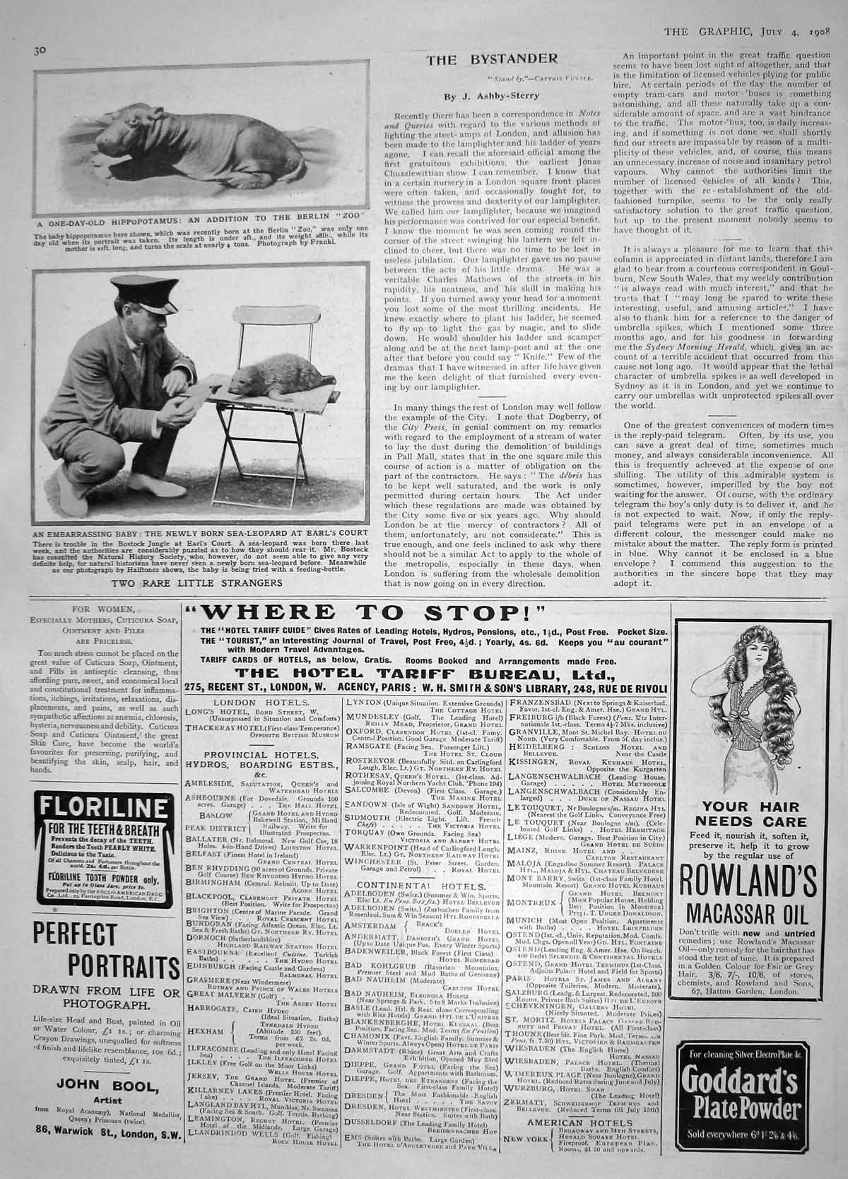 Old Antique Print 1908 Hippopotamus Berlin Zoo Sea-Leopard Earl'S Court 20th
