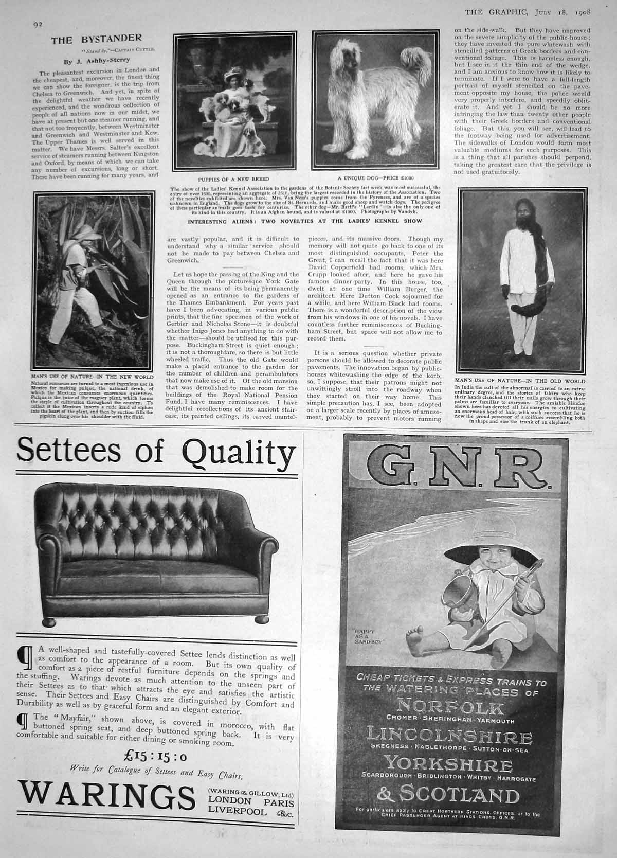 Original Old Antique Print 1908 Ladies Kennel Show Puppies Mexico Pulque India