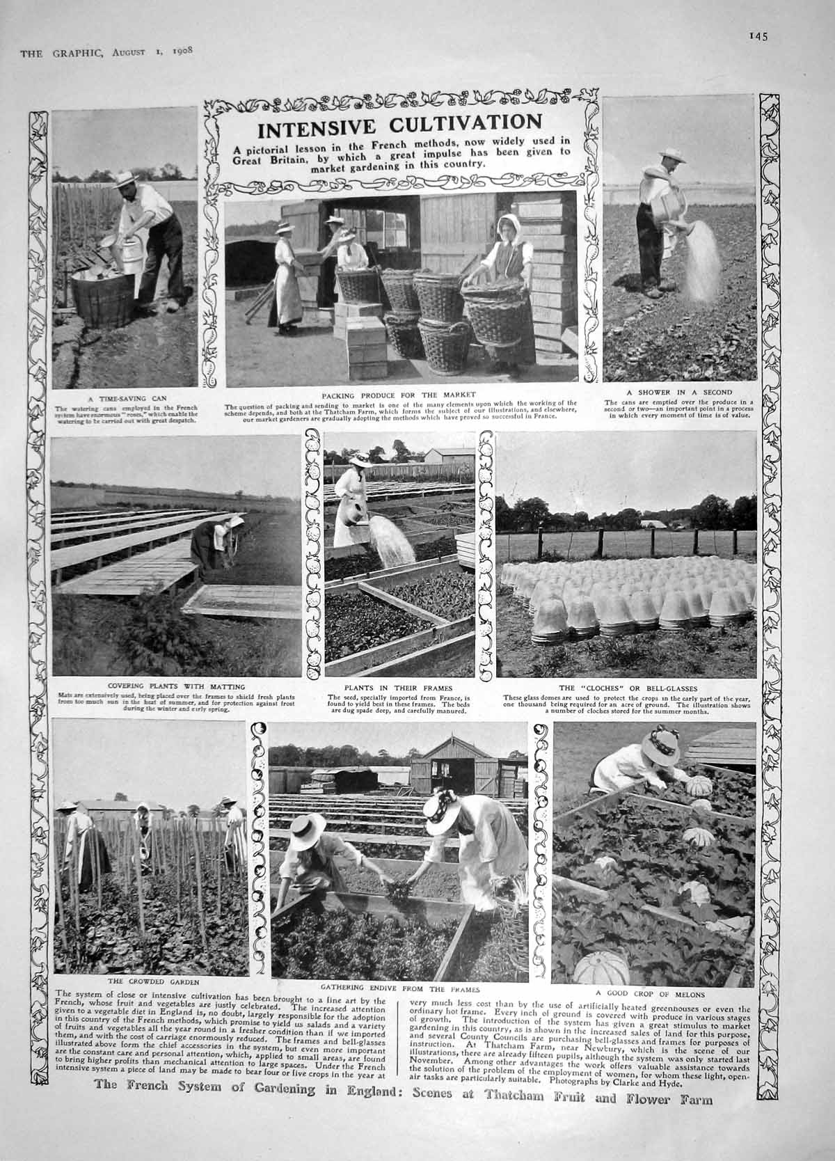 Old Antique Print 1908 Cultivation England Fruit Flower Farm Opera Rupert 20th