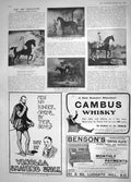 Old Antique Print 1908 Horse King Nobby Orrery General Webb Huntsman Dogs 20th