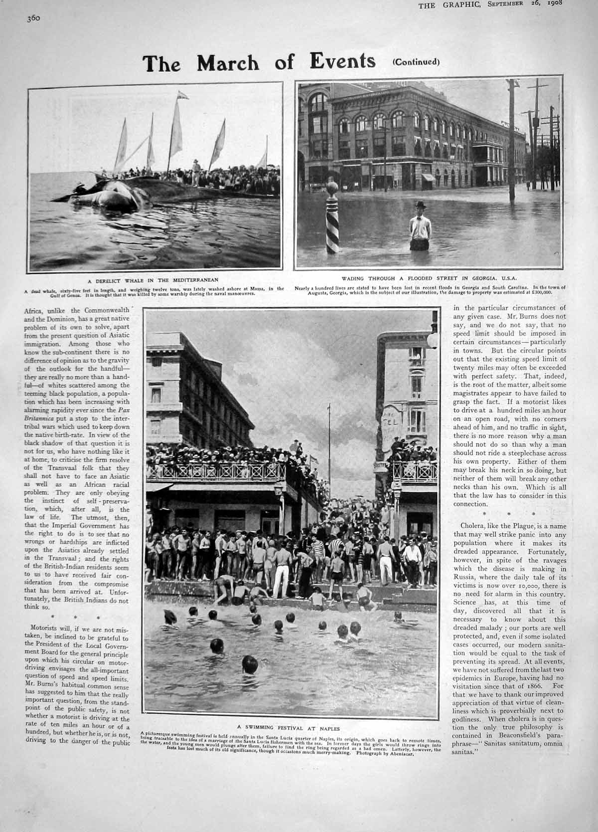 Old Antique Print 1908 Whale Massa Flood Georgia Naples Newcastle Cotton 20th