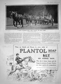 Old Antique Print 1908 Windsor Great Park Carting King'S Timber Wood Cart 20th