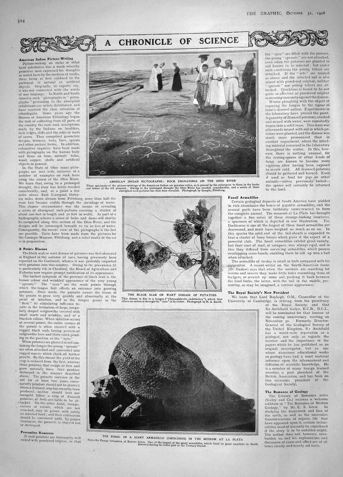 Old Antique Print 1908 Rock Engravings Fossil Armadillo Asylum Finsbury 20th