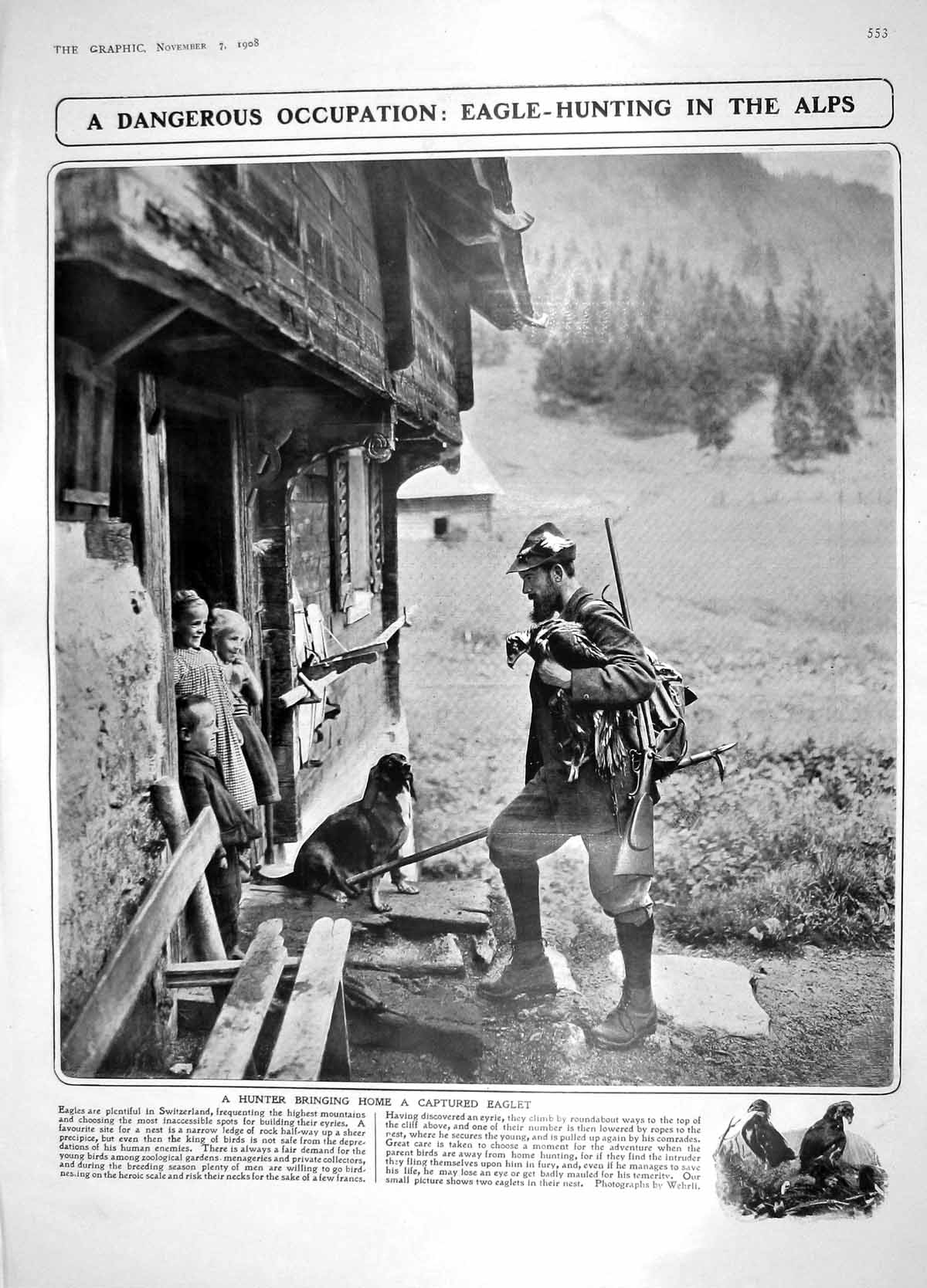 Old Antique Print 1908 Eagle Hunting Alps Switzerland Ludgate Guy Fawkes 20th