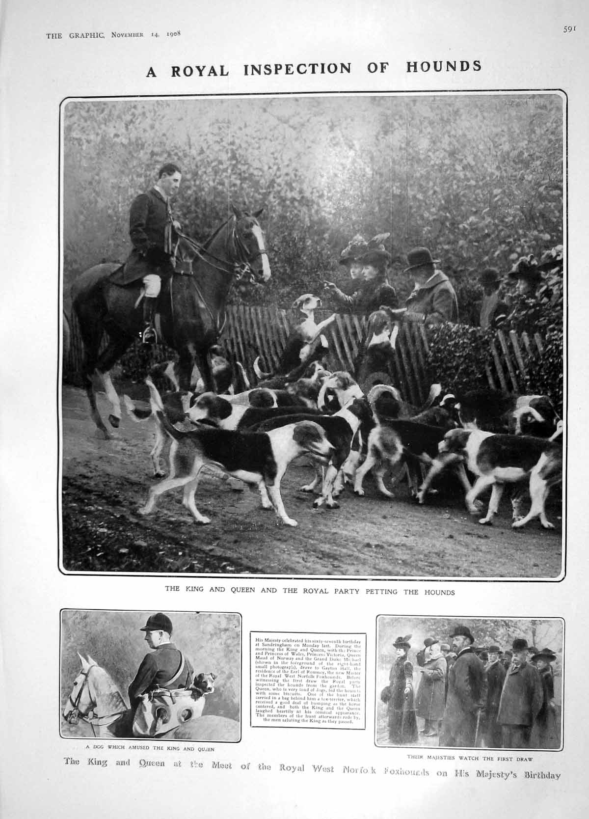 Old Antique Print 1908 King Royal Hounds Norfolk Sandringham Delait Flies 20th