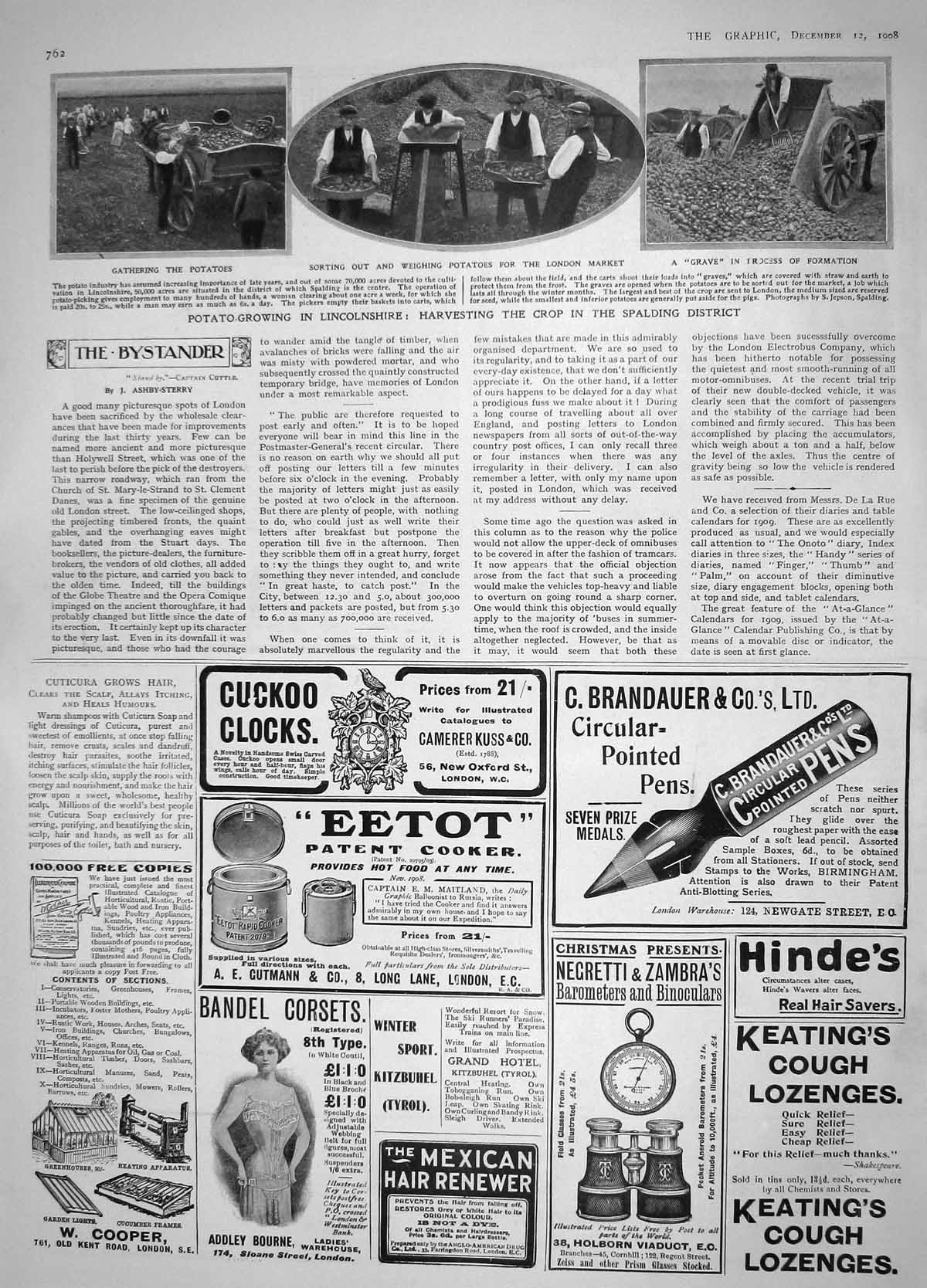 Original Old Antique Print 1908 Potato Growing Lincolnshire Harvesting Spalding