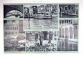 Original Old Antique Print 1908 Feeding Pigeons Piazza San Marco Doge'S Palace
