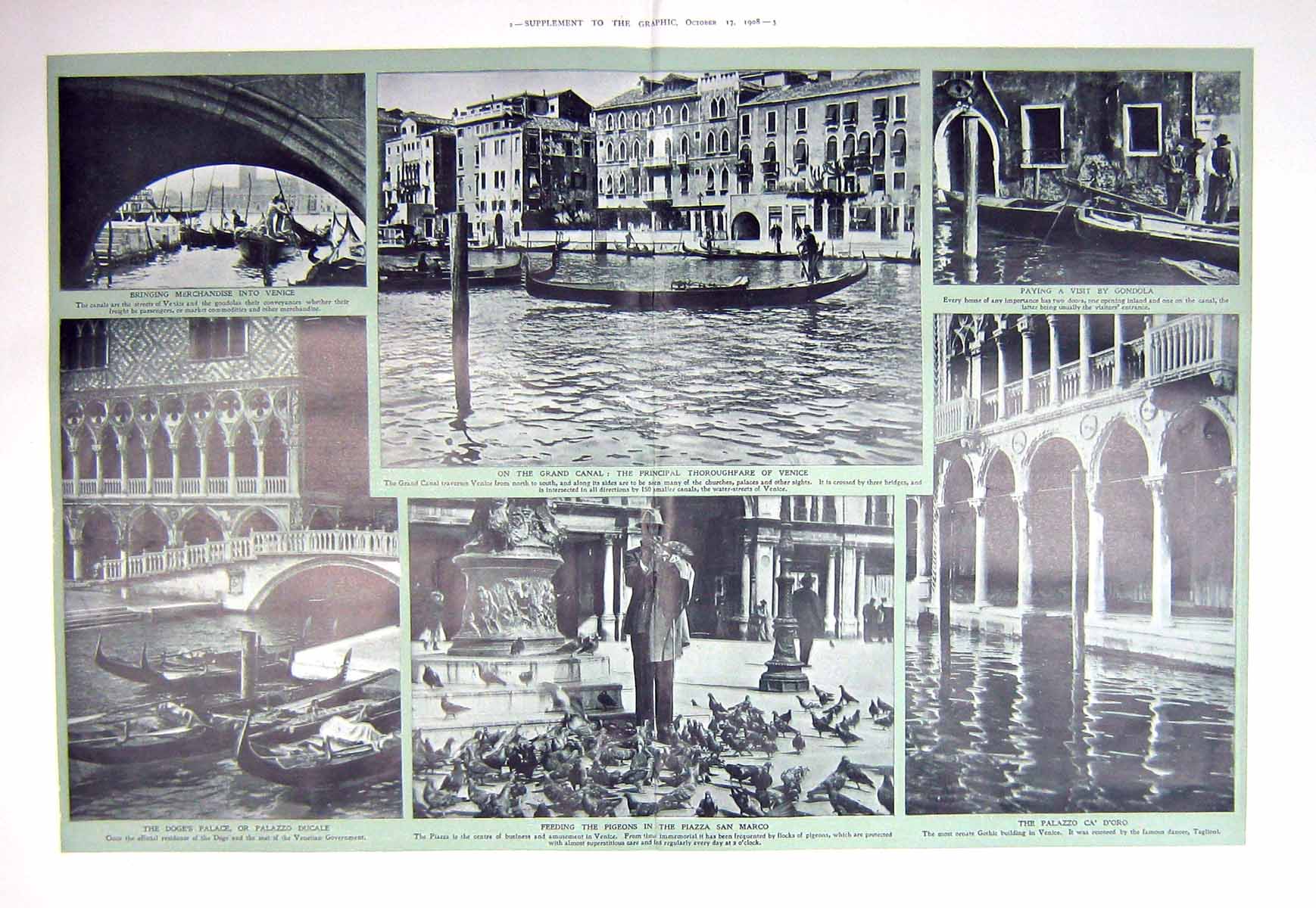Original Old Antique Print 1908 Feeding Pigeons Piazza San Marco Doge'S Palace
