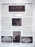 Original Old Antique Print 1909 Science Brain Babbage Milner Wood Elgar Spicer