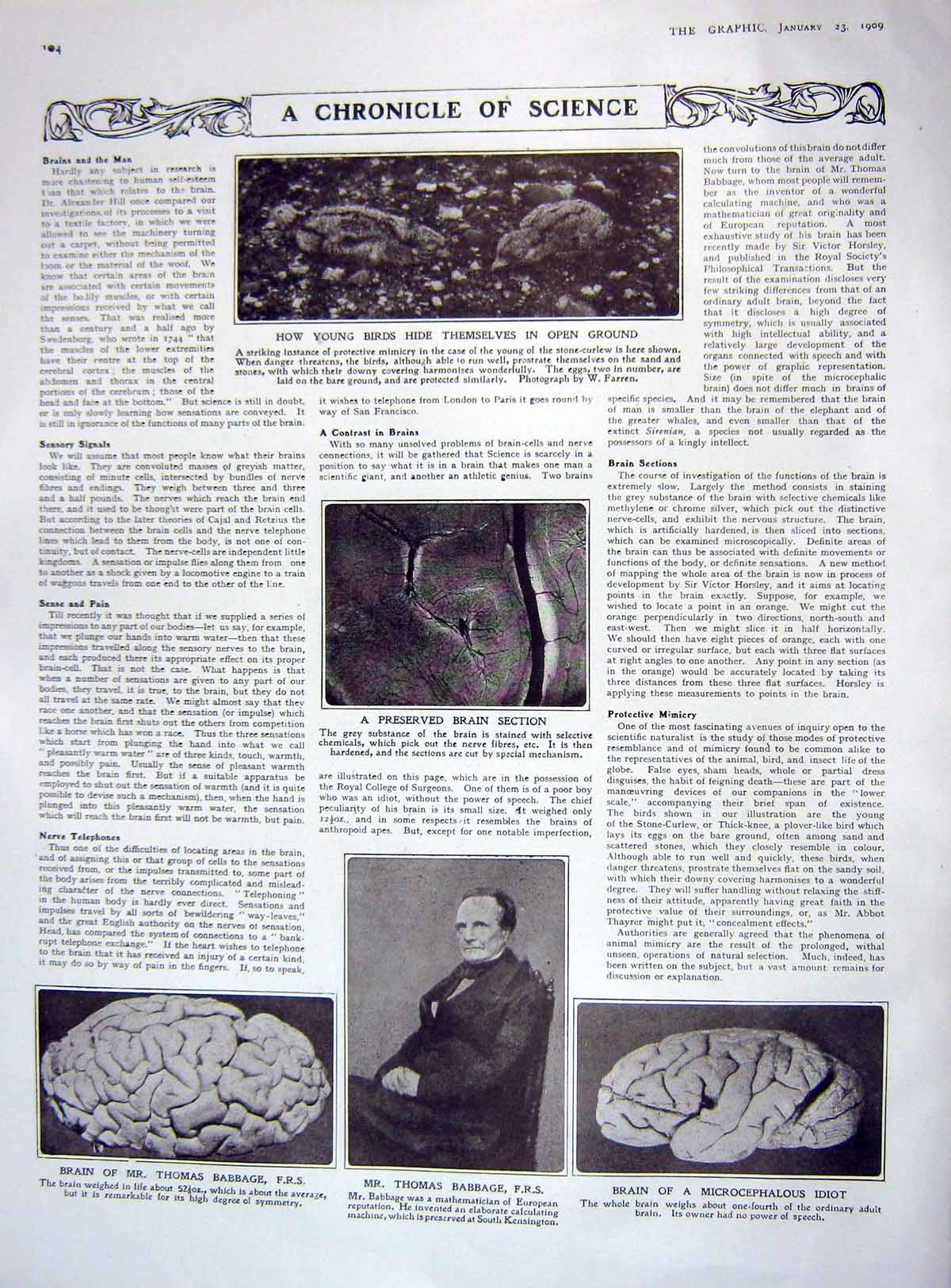 Original Old Antique Print 1909 Science Brain Babbage Milner Wood Elgar Spicer