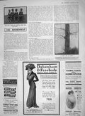 Old Antique Print 1909 Black Boys Smoking Tea Fox Tree Lord Nelson Addley 20th