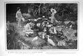 Original Old Antique Print 1909 Lotus Land Fair Lilies Japanese Garden 20th