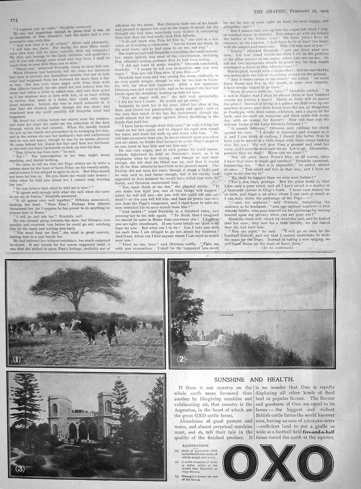 Original Old Antique Print 1909 Advertisement Oxo Cattle Herefords Cows Bentos