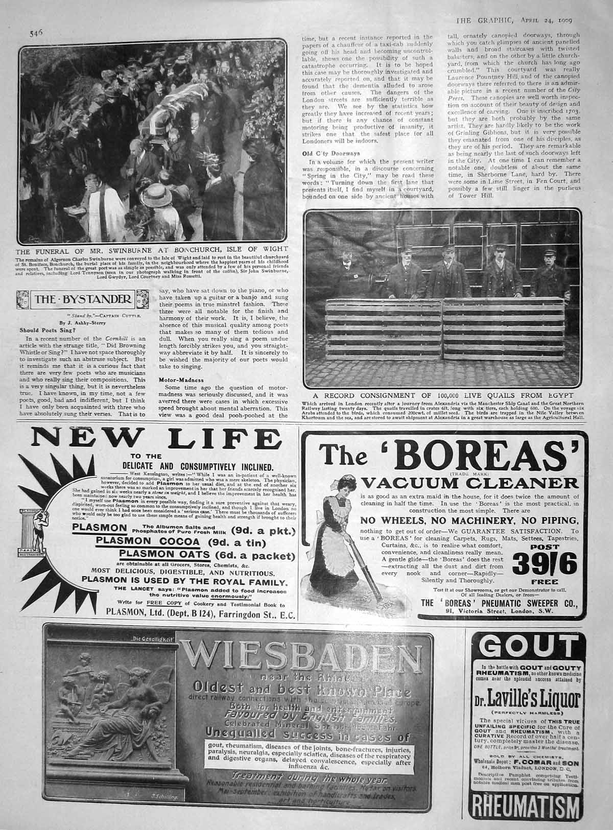 Original Old Antique Print 1909 Funeral Swinburne Bonchurch Wight Quails Egypt