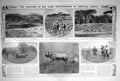 Old Antique Print 1909 Africa Zebra Dugmore Rhinoceros Coke Hartebeest 20th
