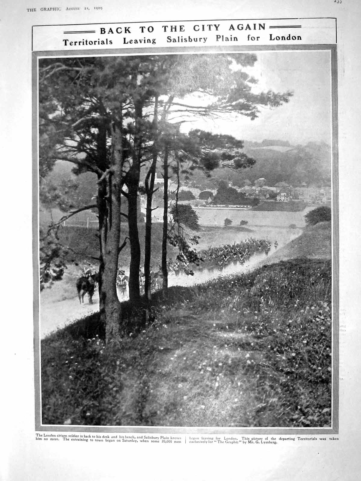 Original Old Antique Print 1909 Salisbury Plain Territorial Siers Insect Nature