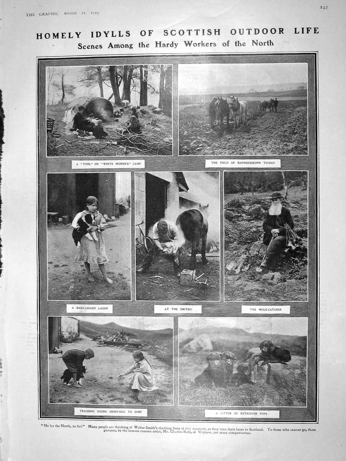 Original Old Antique Print 1909 Scotland Farm Bannockburn Smithy Sheep Dog Tink