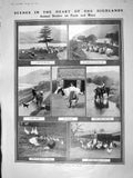 Original Old Antique Print 1909 Highlands Scotland Farm Sheep Chickens Milkmaid